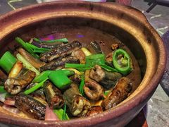 生啫爽脆黄鳝-啫神·广州地标美食(北京路店)