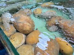 -班赞海鲜市场