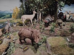 -陕西自然博物馆