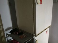 -和平搬家公司