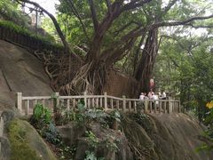 -乌山风景区