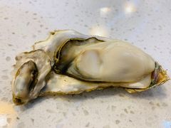 -龍歌自助小火锅(李沧丽达店)