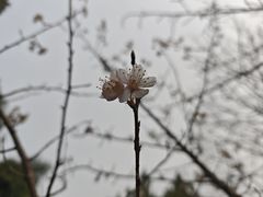 -清真磊磊烧烤老店(饮虎池街34号店)