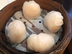 添运来虾饺皇-添运来(茶园奥园广场店)