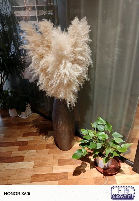 上海科技馆(地铁站)图片