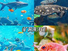 -长鹿旅游休博园