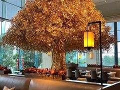 -丽晶轩中餐厅(重庆丽晶酒店)