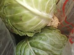 -上海都市菜园
