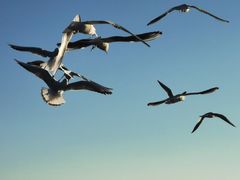 -呈贡滇池生态湿地公园