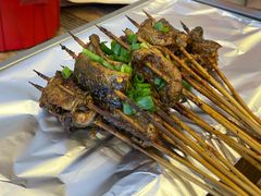鳝鱼-晓靖轩烧烤(沙河风情店)