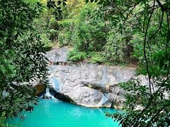 -广州白江湖森林公园