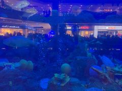 -成都浩海立方海洋公园