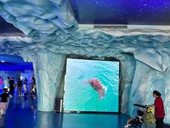 -上海海昌海洋公园-冰山北极馆