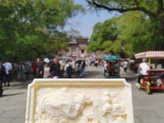 -北陵公园