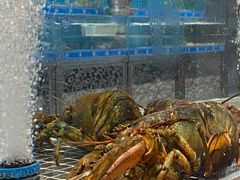 -喜来酌海鲜·饺子(和平一店)