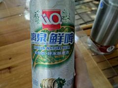 醴泉啤酒-生态苑农庄(十里画廊遇龙河店)