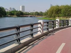 -长白岛森林公园