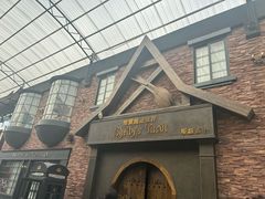 -雪灵魔法世界SHELLY’S TAROT(大良桂畔里店)