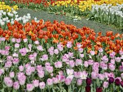 -苏州上方山国家森林公园