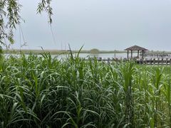 -苏州太湖湖滨国家湿地公园