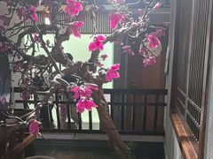 -天天鱼港·海鲜·鲅鱼水饺·招牌烤鸭(黄骅店)