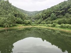 -九龙潭景区