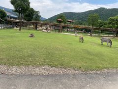 -太湖龙之梦