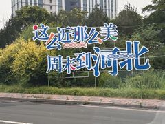 -石家庄市植物园