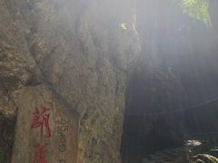 -牛背梁国家森林公园