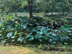 -金科路(地铁站)