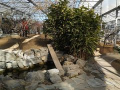 -北京鹫峰国家森林公园
