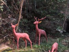 -众神白水涧景区