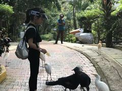 -吉隆坡雀鸟公园