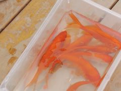 -前小桔亲子创意农场·草莓采摘·露营烧烤