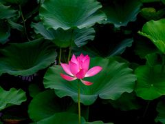 -云龙湖旅游景区