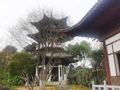 -武汉园博园(武汉自然博物馆)
