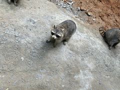 -杭州野生动物世界