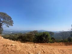 -黄埔油麻山森林公园