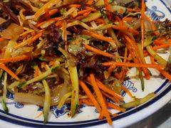 五彩大拉皮-川人百味(天津远洋未来广场店)