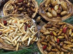 -昆虫窝子·特色云南菜(拓东路总店)