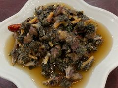 -红灯笼龙凤饭店(宁波老字号店)