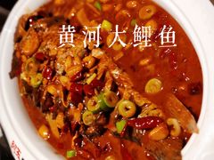 -阿五黄河大鲤鱼(英协路店)