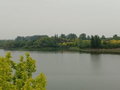 -东郊湿地公园