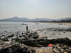 -西涌国际滨海旅游区