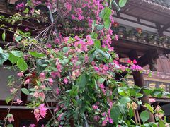 -沙县小吃文化城