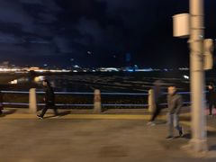 -如意香辣鸡架(总店)