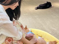 -逗柴咖啡屋·狗咖猫咖宠物桌游
