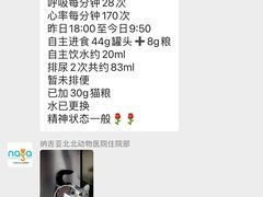 -纳吉亚猫专科动物医院·北北分院