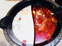 -七秒鱼·斑鱼火锅(太阳城店)