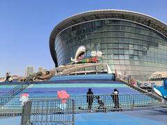 -海合安天津极地海洋公园